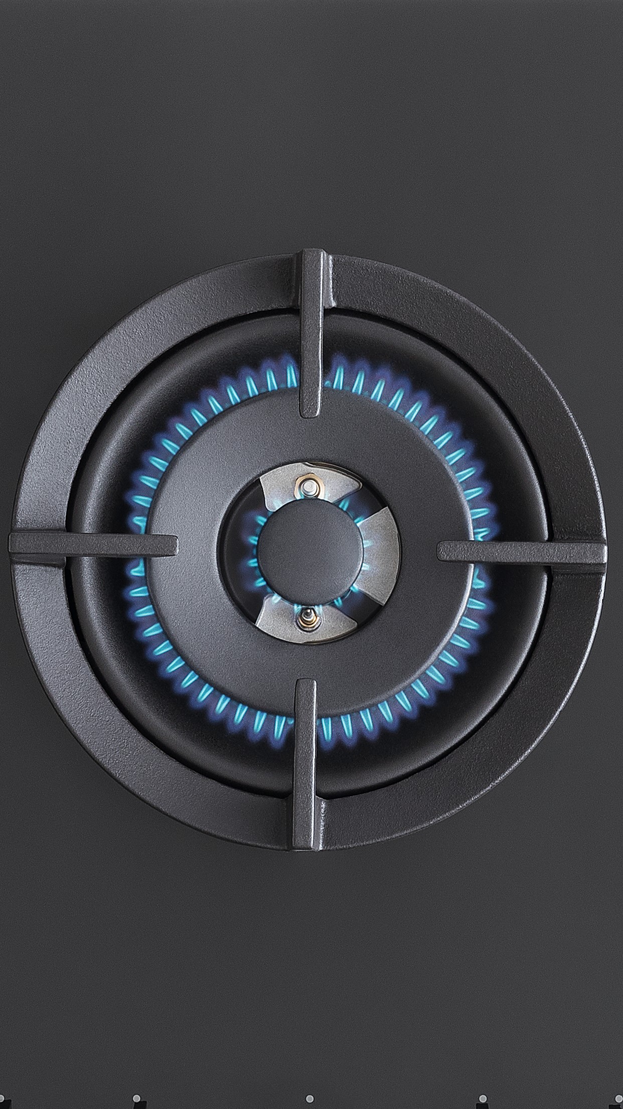 ΕΣΤΙΑ BERTAZZONI P604LMODGNET | ΕΣΤΙΕΣ ΑΕΡΙΟΥ 2